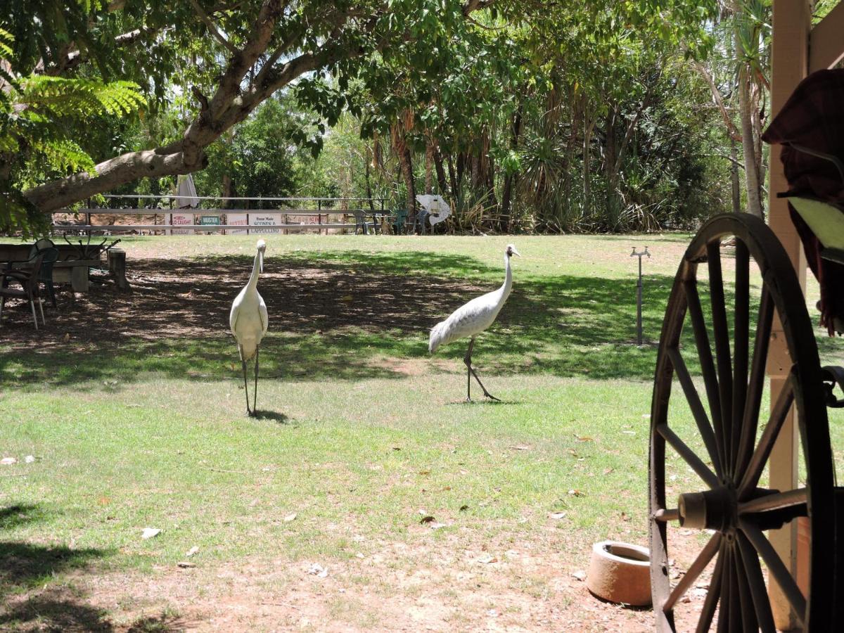 Territory Manor Motel & Caravan Park Mataranka Exterior photo